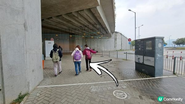 《屯門公路轉車站至深井行山篇》大欖涌水塘、大欖林道青龍頭段/清快塘段、清快塘(喜香農莊)