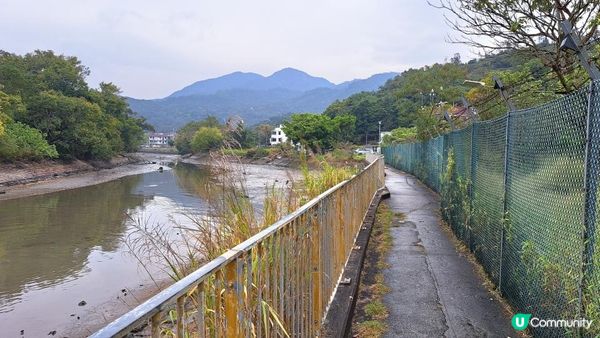 《屯門公路轉車站至深井行山篇》大欖涌水塘、大欖林道青龍頭段/清快塘段、清快塘(喜香農莊)