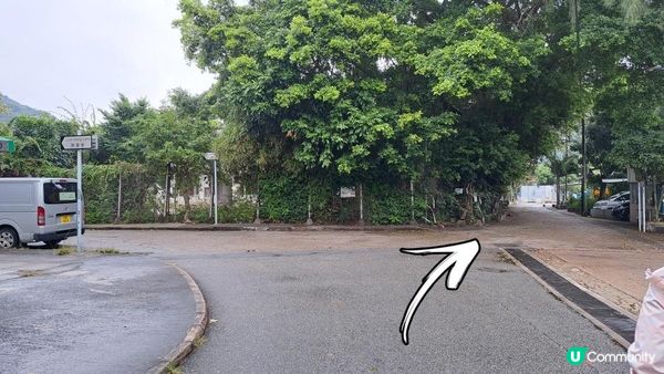 《屯門公路轉車站至深井行山篇》大欖涌水塘、大欖林道青龍頭段/清快塘段、清快塘(喜香農莊)