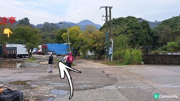 《屯門公路轉車站至深井行山篇》大欖涌水塘、大欖林道青龍頭段/清快塘段、清快塘(喜香農莊)