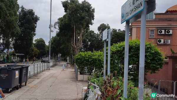 【大埔大庵路至太和行山篇】六德書室、大菴古窰、蓮開公立學校遺址、泰國寺樹屋