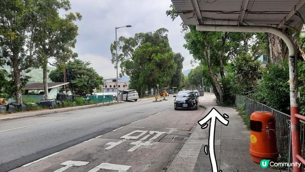 【大埔大庵路至太和行山篇】六德書室、大菴古窰、蓮開公立學校遺址、泰國寺樹屋