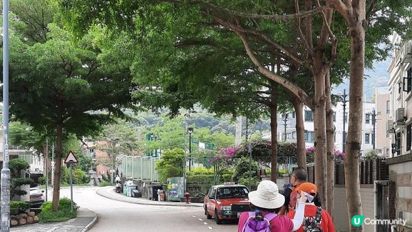 【大埔大庵路至太和行山篇】六德書室、大菴古窰、蓮開公立學校遺址、泰國寺樹屋