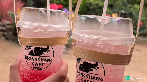 泰國實在泰好玩啦，好想再去多幾次