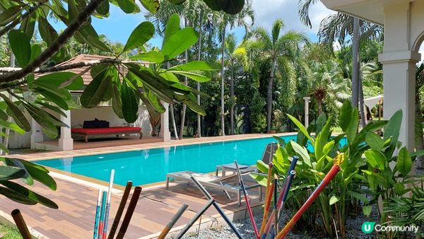 8月初到布吉華威沙灘旅遊，尚幸陽光充沛，在泰式餐廳午膳，一邊...