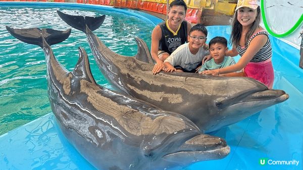 布吉島的 Dolphin Bay 有精彩的海豚表演，表演員同...