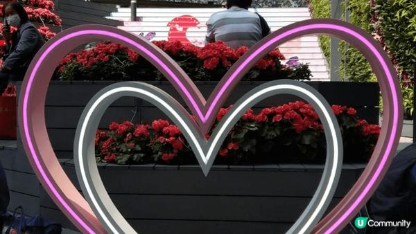 呢到係位於葵芳新都會廣場對出大空地，推薦原因係因為有女仔好鍾...