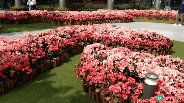 呢到係位於葵芳新都會廣場對出大空地，推薦原因係因為有女仔好鍾...