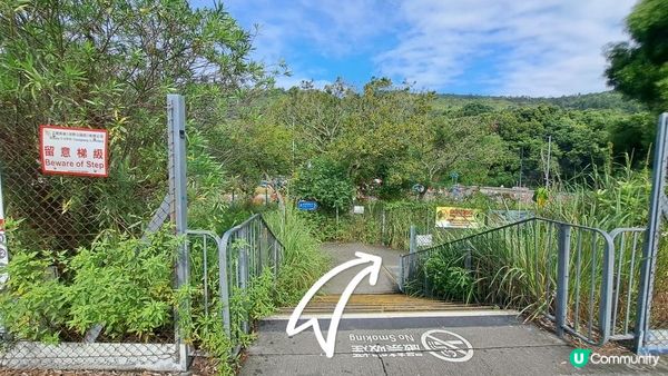 《大欖涌行山篇》井坑山、三丫瀝頂、四排石山、黃茅嶺