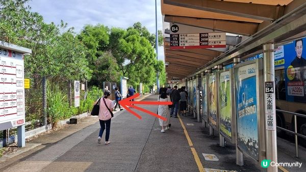 《大欖涌行山篇》井坑山、三丫瀝頂、四排石山、黃茅嶺