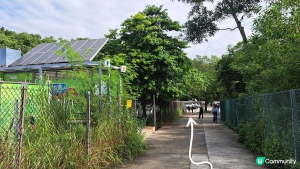 《大欖涌行山篇》井坑山、三丫瀝頂、四排石山、黃茅嶺