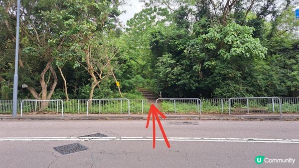 《大欖涌行山篇》井坑山、三丫瀝頂、四排石山、黃茅嶺