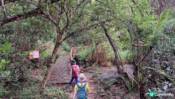 《大欖涌行山篇》井坑山、三丫瀝頂、四排石山、黃茅嶺