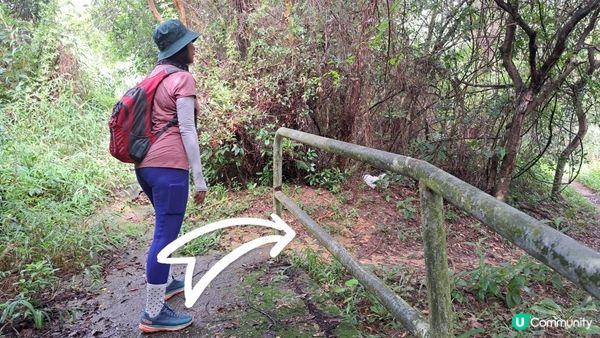 《大欖涌行山篇》井坑山、三丫瀝頂、四排石山、黃茅嶺