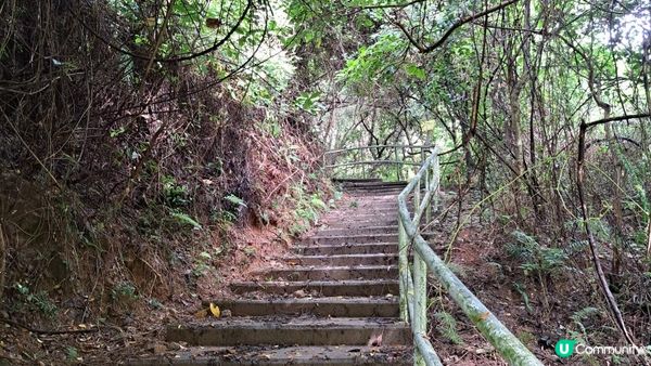 《大欖涌行山篇》井坑山、三丫瀝頂、四排石山、黃茅嶺