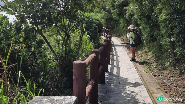 【小西灣至大浪灣行山篇】舊英軍發電碉堡、歌連臣角砲台、探射燈碉堡、砵甸乍觀景台