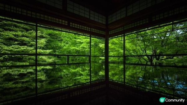 雨後初晴的瑠璃光院