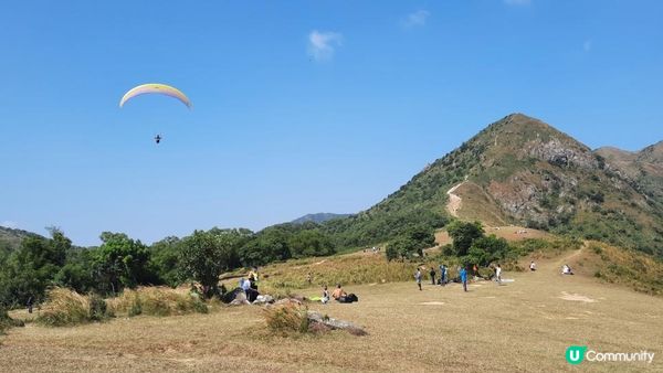 【馬鞍山村至西貢公路行山篇】昂平坪原、茅坪坳樹藤王、竹林隧道 (北港古道)