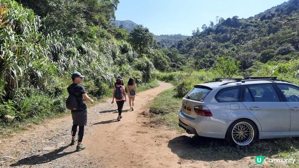 【馬鞍山村至西貢公路行山篇】昂平坪原、茅坪坳樹藤王、竹林隧道 (北港古道)