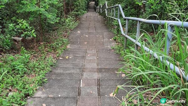 【尖鼻咀至流浮山行山篇】唐夏寮/龜山、南沙嶺、淋坑山