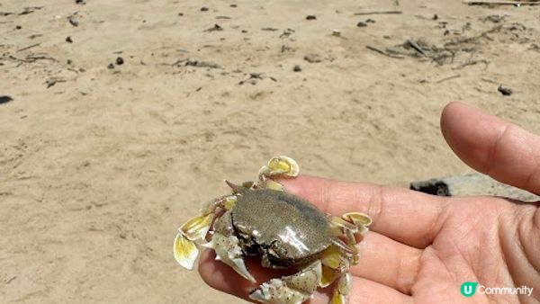 沙巴熱辣遊 Day 4 - 汶萊無人海灘及Pasar Gadong