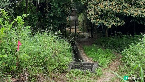 【青馬收費站至迪士尼行山篇】汲水門大橋底、草灣、花瓶石