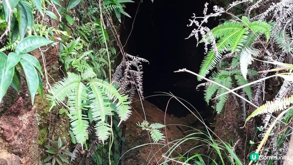 【青馬收費站至迪士尼行山篇】汲水門大橋底、草灣、花瓶石