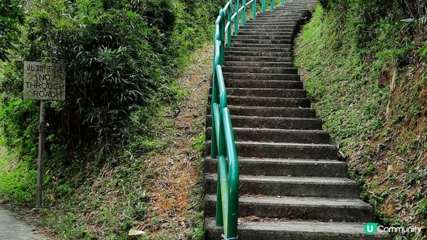 【青馬收費站至迪士尼行山篇】汲水門大橋底、草灣、花瓶石