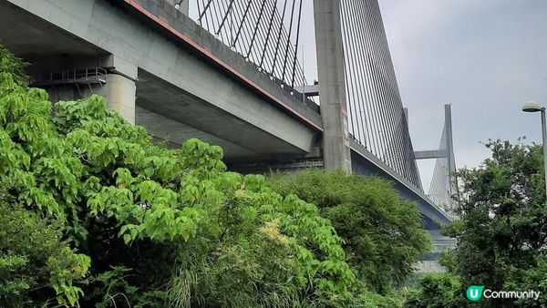 【青馬收費站至迪士尼行山篇】汲水門大橋底、草灣、花瓶石