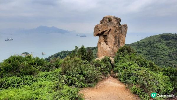 【青馬收費站至迪士尼行山篇】汲水門大橋底、草灣、花瓶石