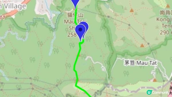 【沙田圍至黃大仙行山篇】蝌蚪坪、貓仔山、觀貓台/貓仔石🐱、雞胸山