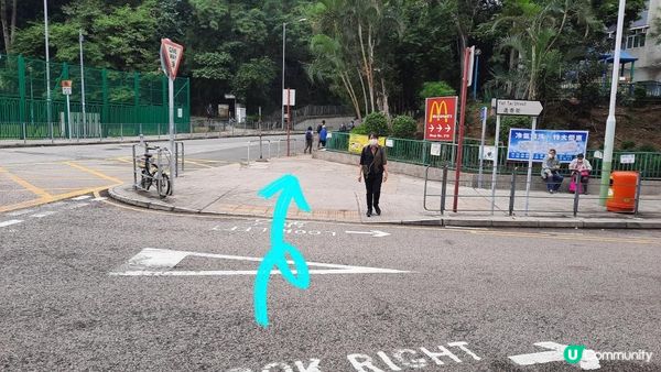 【沙田圍至黃大仙行山篇】蝌蚪坪、貓仔山、觀貓台/貓仔石🐱、雞胸山