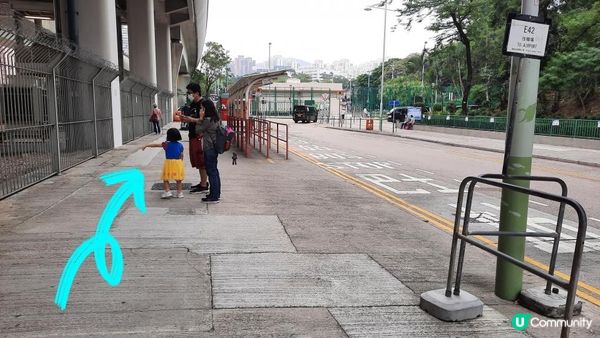 【沙田圍至黃大仙行山篇】蝌蚪坪、貓仔山、觀貓台/貓仔石🐱、雞胸山