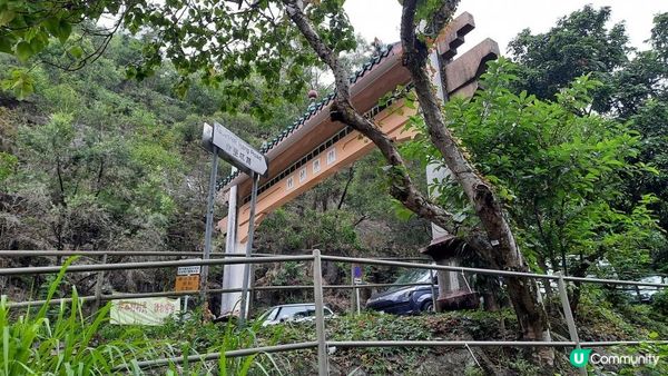 【沙田圍至黃大仙行山篇】蝌蚪坪、貓仔山、觀貓台/貓仔石🐱、雞胸山