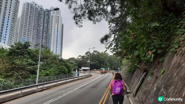 【沙田圍至黃大仙行山篇】蝌蚪坪、貓仔山、觀貓台/貓仔石🐱、雞胸山