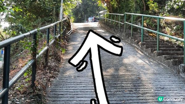 【沙田行山篇】牛皮沙頂、多石頂、機槍堡、崗背頂、水泉澳