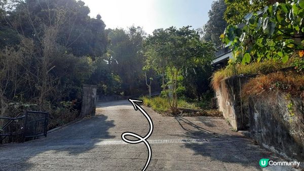 【沙田行山篇】牛皮沙頂、多石頂、機槍堡、崗背頂、水泉澳