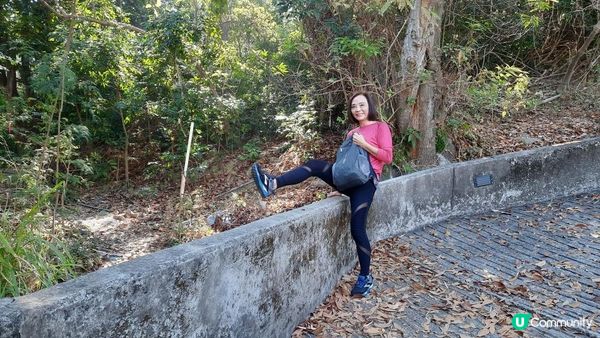 【沙田行山篇】牛皮沙頂、多石頂、機槍堡、崗背頂、水泉澳