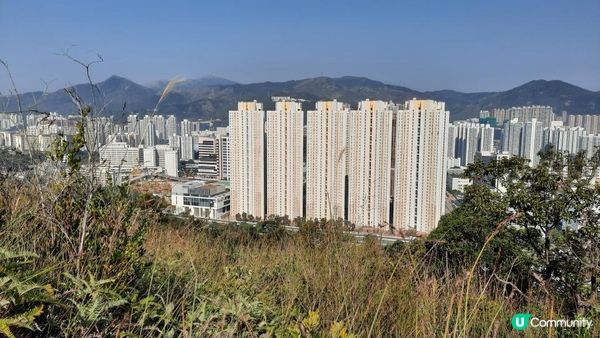 【沙田行山篇】牛皮沙頂、多石頂、機槍堡、崗背頂、水泉澳