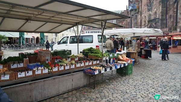 [德瑞法] 13個月嬰兒歐遊去: Freiburg走進黑森林 農夫市集 聖誕市集