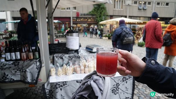 [德瑞法] 13個月嬰兒歐遊去: Freiburg走進黑森林 農夫市集 聖誕市集