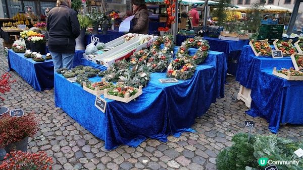 [德瑞法] 13個月嬰兒歐遊去: Freiburg走進黑森林 農夫市集 聖誕市集