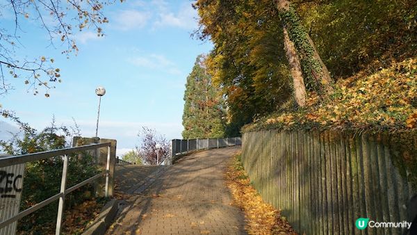 [德瑞法] 13個月嬰兒歐遊去: Freiburg走進黑森林 農夫市集 聖誕市集