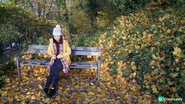 [德瑞法] 13個月嬰兒歐遊去: Freiburg走進黑森林 農夫市集 聖誕市集