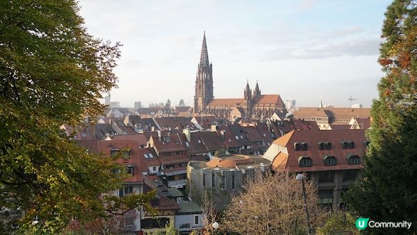 [德瑞法] 13個月嬰兒歐遊去: Freiburg走進黑森林 農夫市集 聖誕市集