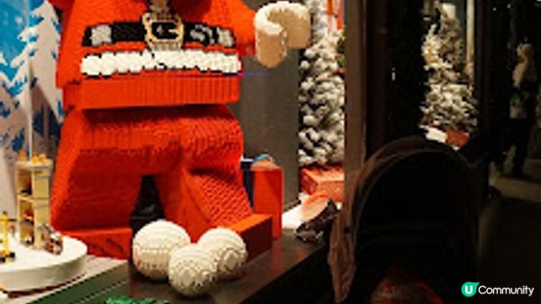 [德瑞法] 13個月嬰兒歐遊去: 來瑞士沒有不吃瑞士火鍋的理由