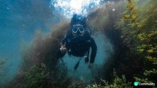 [玩樂誌] 香港海洋都有意想不到咁靚 本地玩水地點介紹