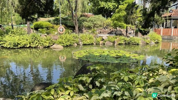 沙田景點-沙田公園