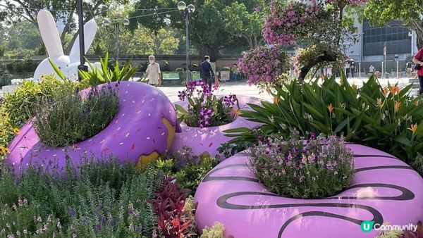 沙田景點-沙田公園