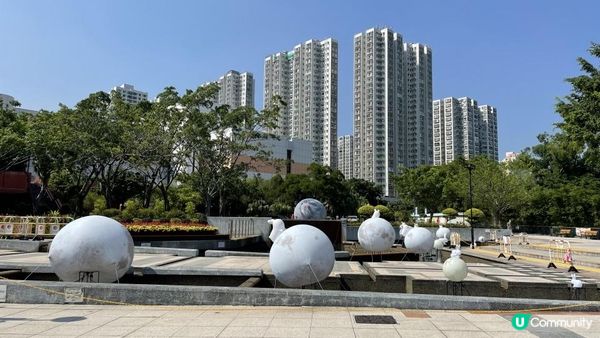 沙田景點-沙田公園